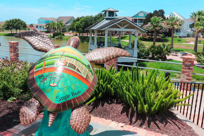 fun things to do in galveston: turtles about town