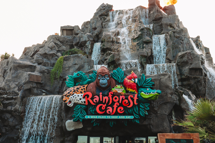 fun things to do in galveston: rainforest cafe