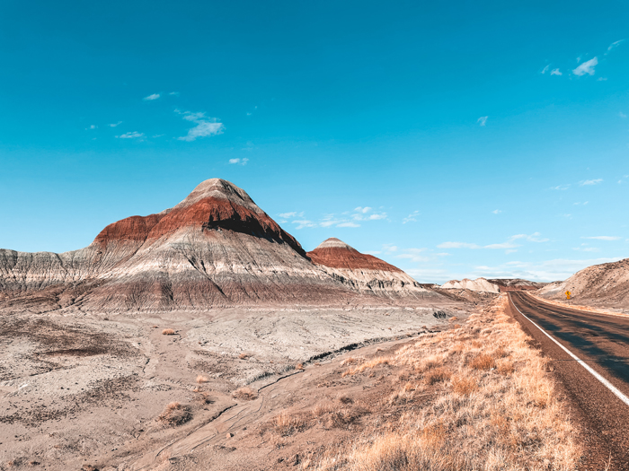 petrified forest national park