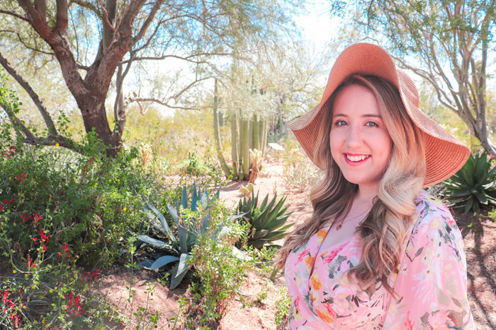 the desert botanical garden