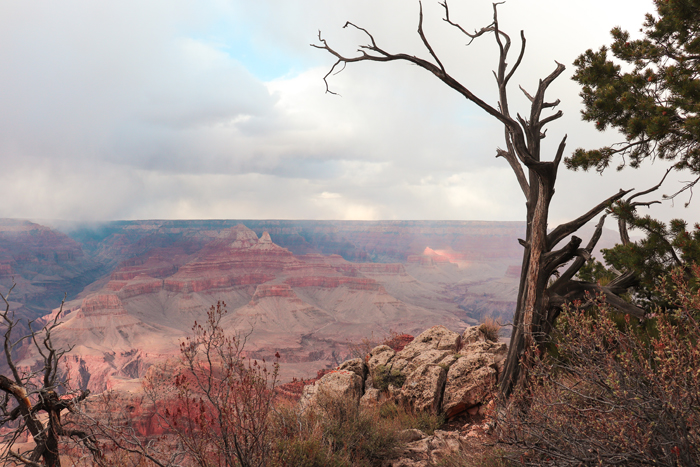 grand canyon national park