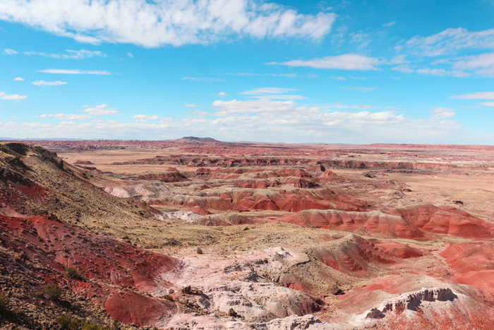 the painted desert