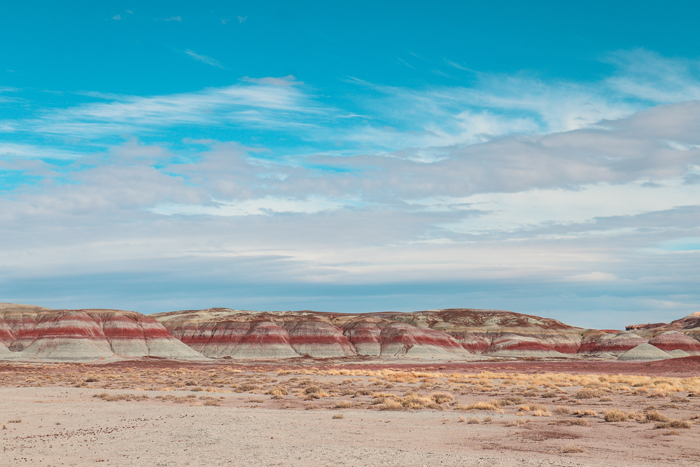 the painted desert