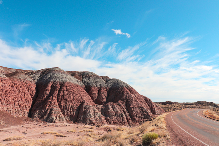 petrified forest national park