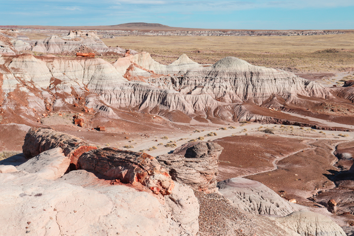 petrified forest national park